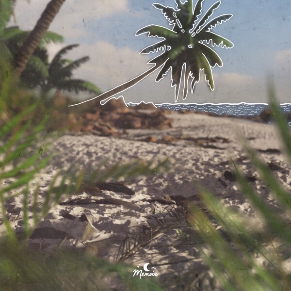 Umbrella Pine - Peter Bark