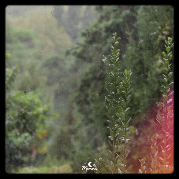 Longing - Sayl
