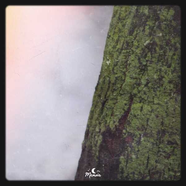 Silhouettes - Sayl