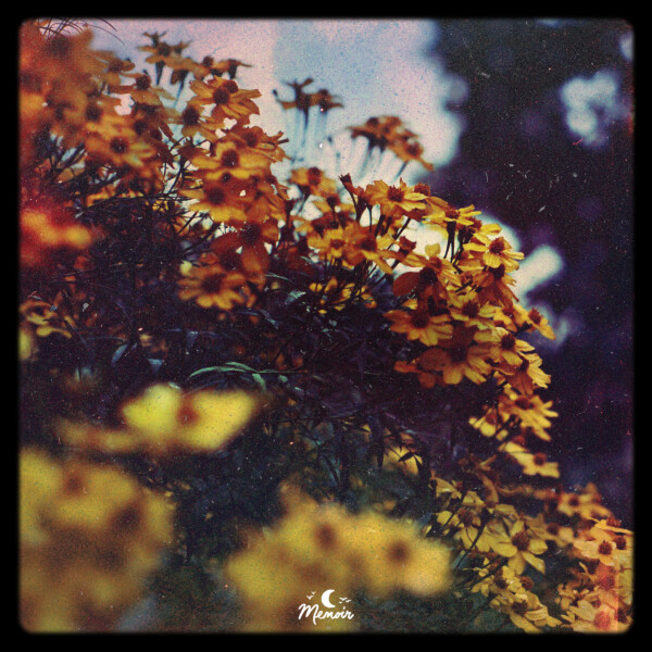 unwind tape - Sundreamer