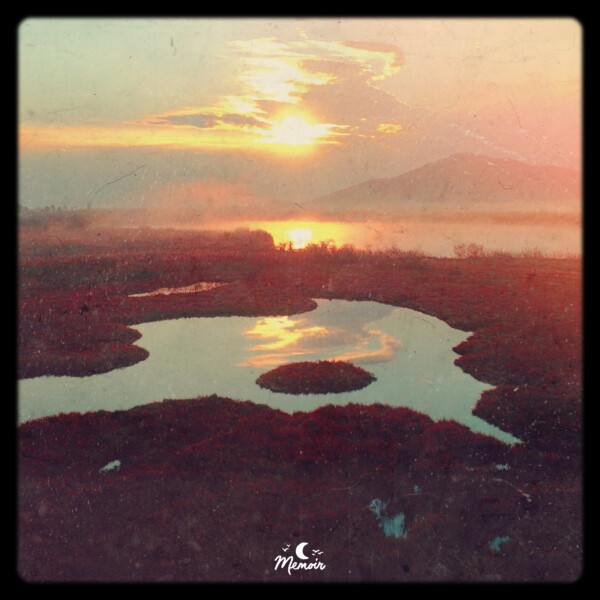 from nothing to nothing - Sundrenched