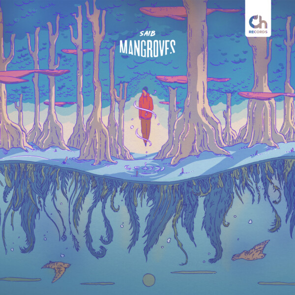 Mangroves - Saib