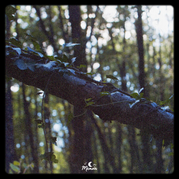 Two For Joy - Foxwood