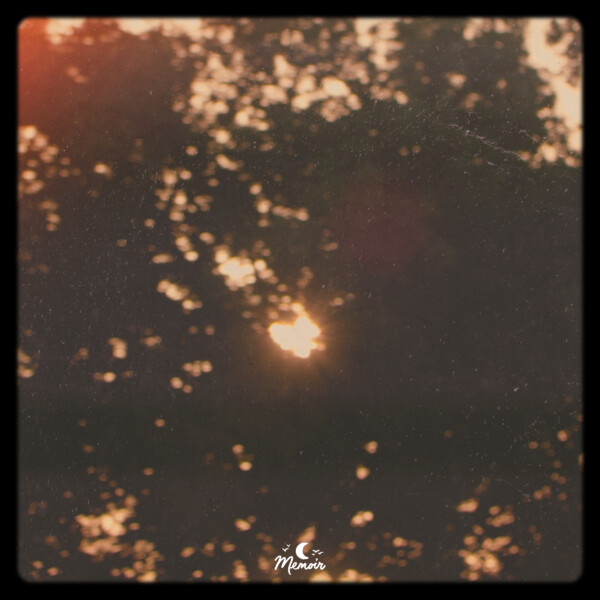 Have Doughnut - Dotlights