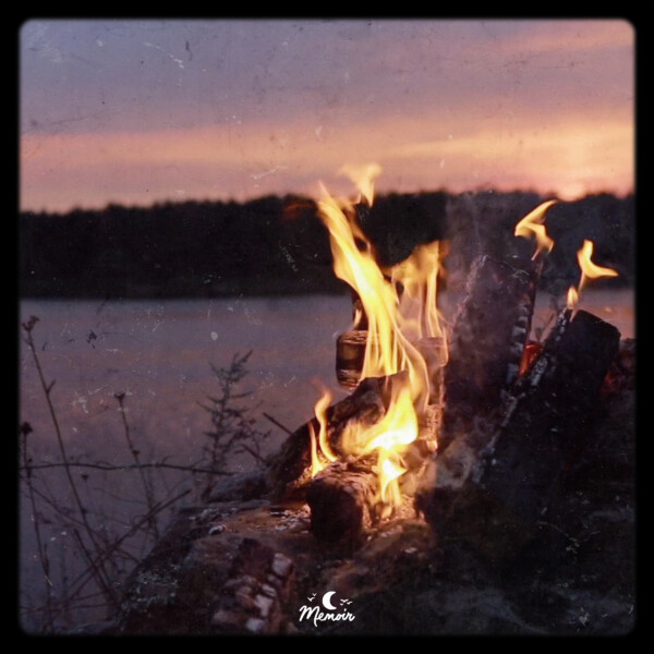 Warmth - Kevin Kuh