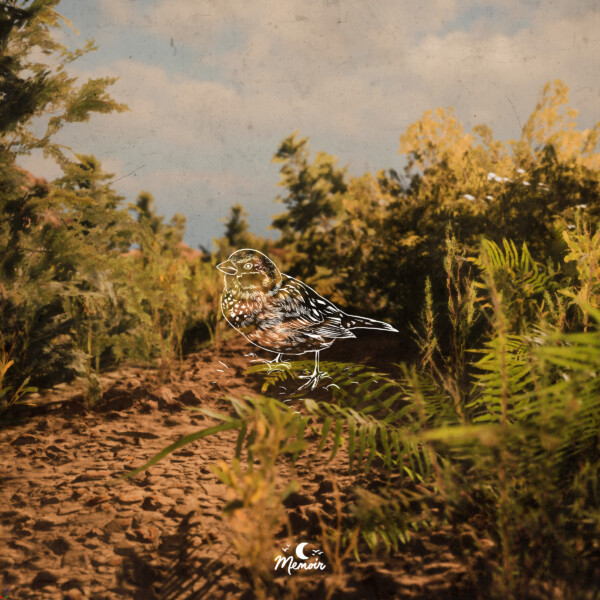 Hibernation - brillion.