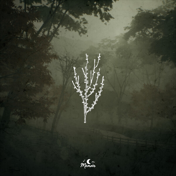 A Deeper Understanding - Aviino