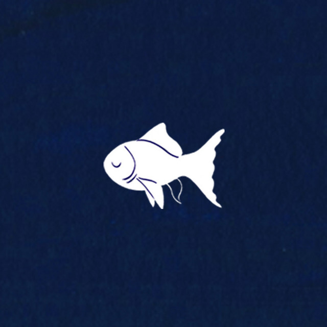Artist Sleepy Fish | Memoir Music