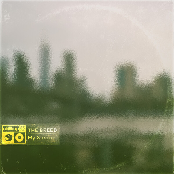 My Steeze - The BREED