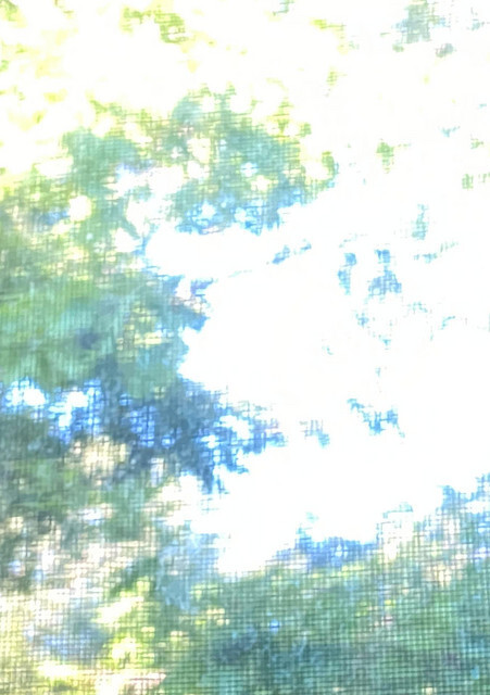 Artist summermind | Memoir Music