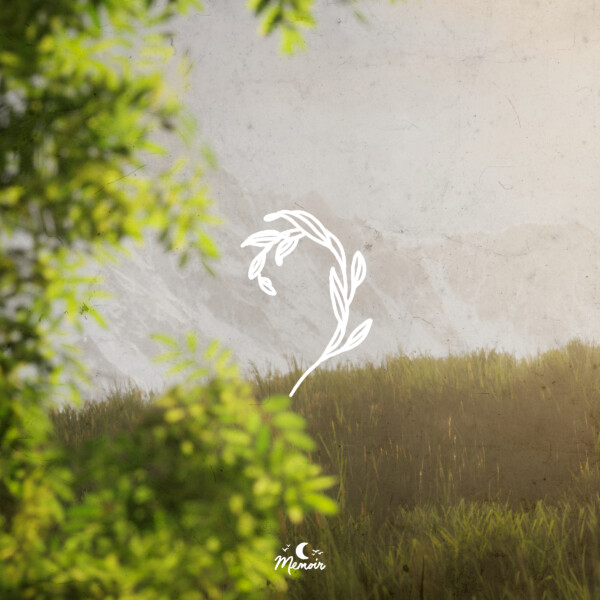 Silk - Slo Loris