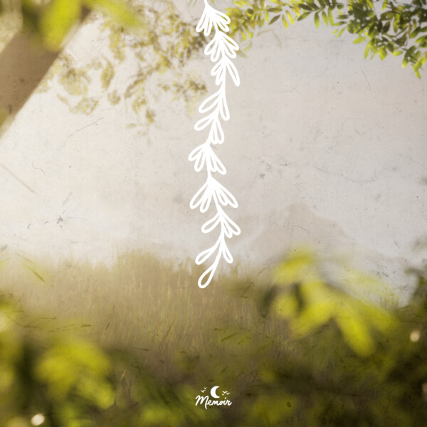Silk - Slo Loris